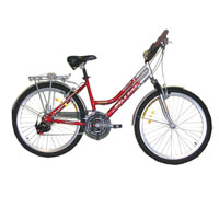 CITY BIKE al