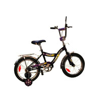 WELS BIKE